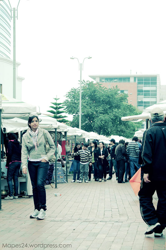 arlington-place-bogota-colombia-mapes24-2