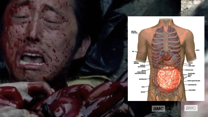 the-walking-dead-glenn-anatomy1a