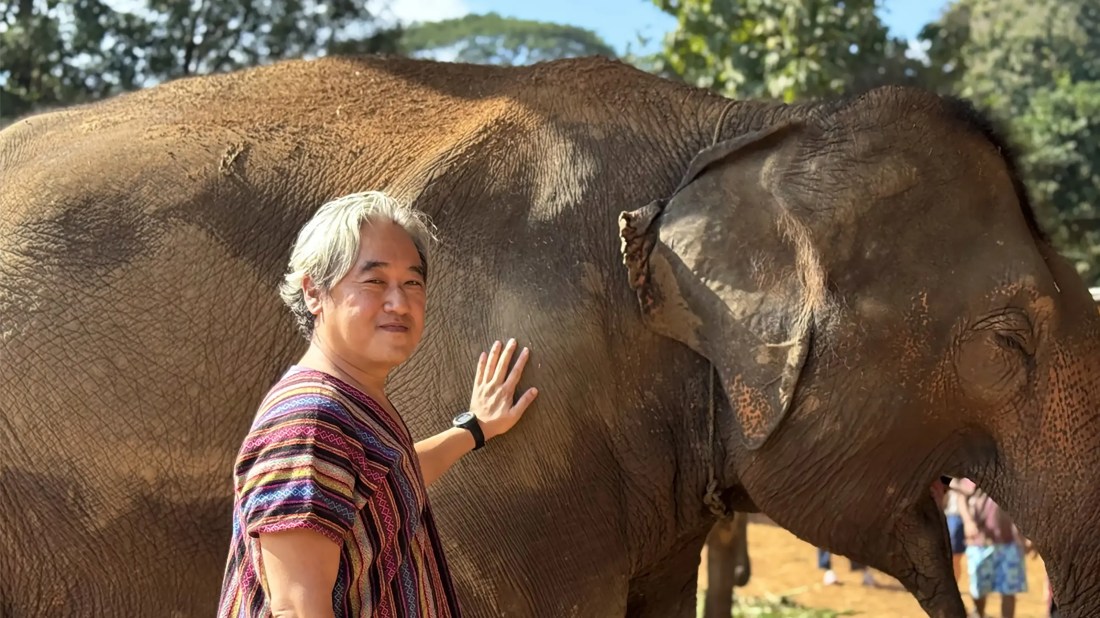 asian man with white hair petting an elephant