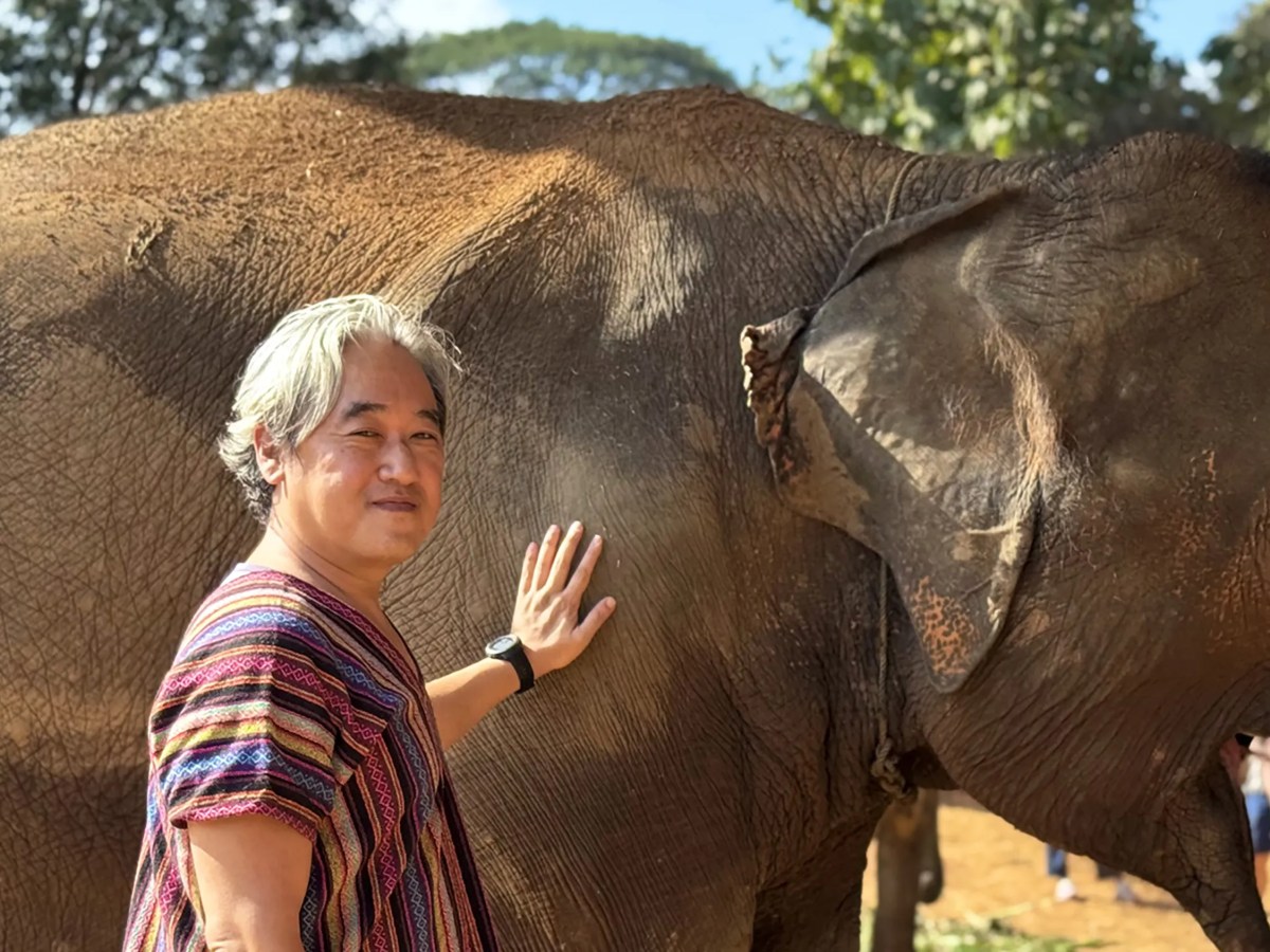 asian man with white hair petting an elephant