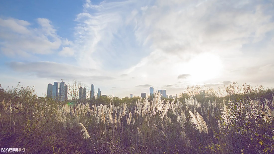 serene view from the ecological reserve in buenos aires mapes24